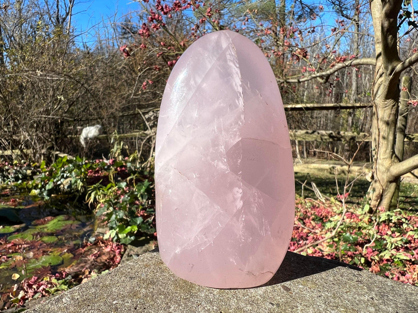 Rose Quartz Freeform