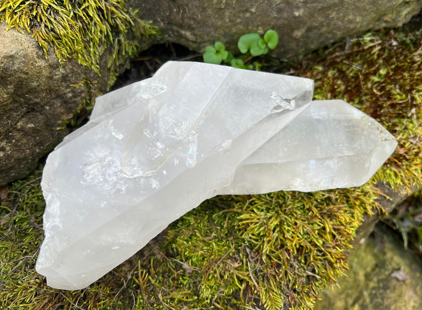 Quartz Crystal Specimen ~ Large