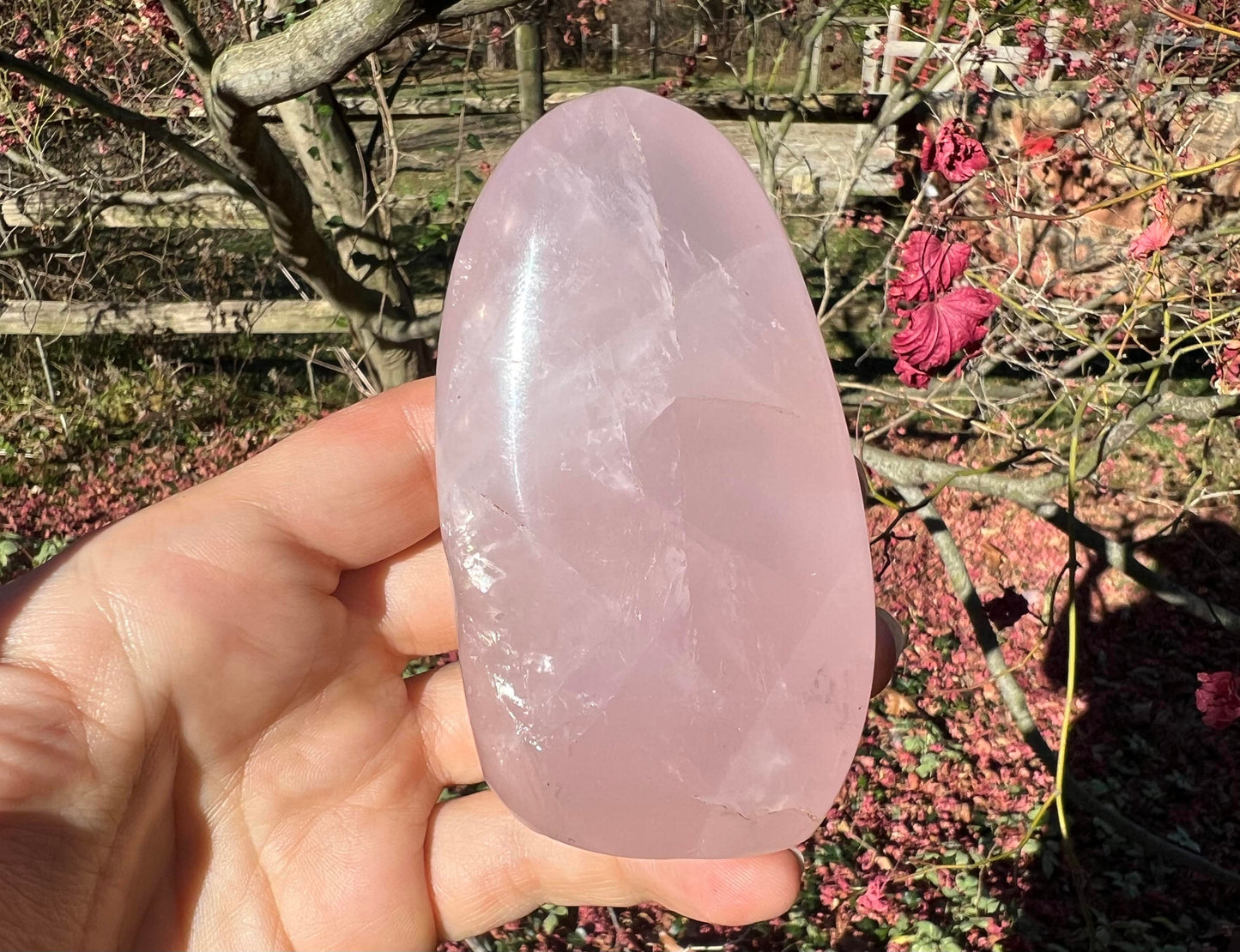 Rose Quartz Freeform