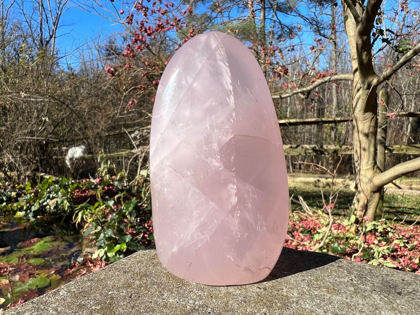 Rose Quartz Freeform