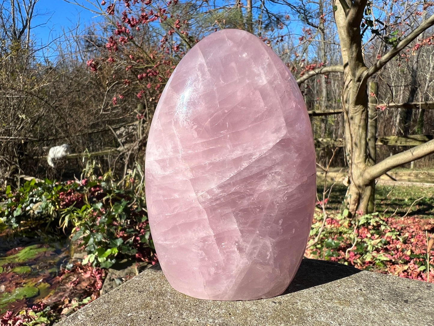 Rose Quartz Freeform