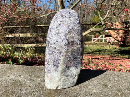 Lepidolite Freeform