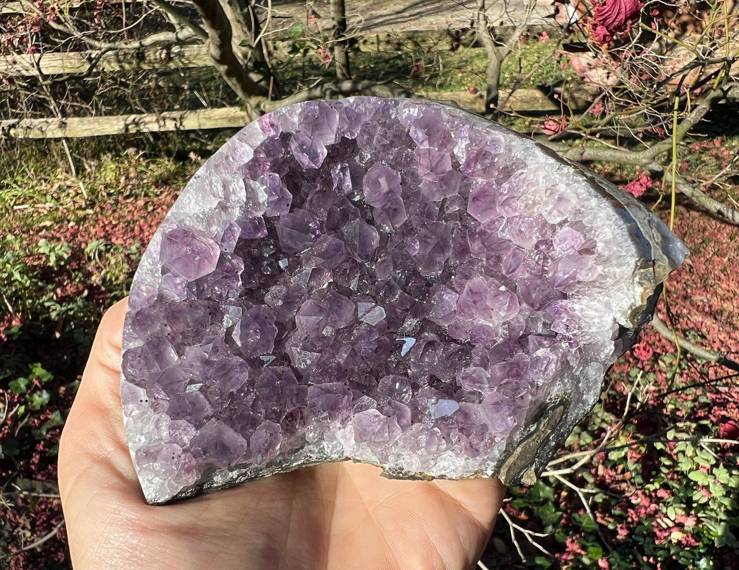 Amethyst Geode Cluster ~ Brazil