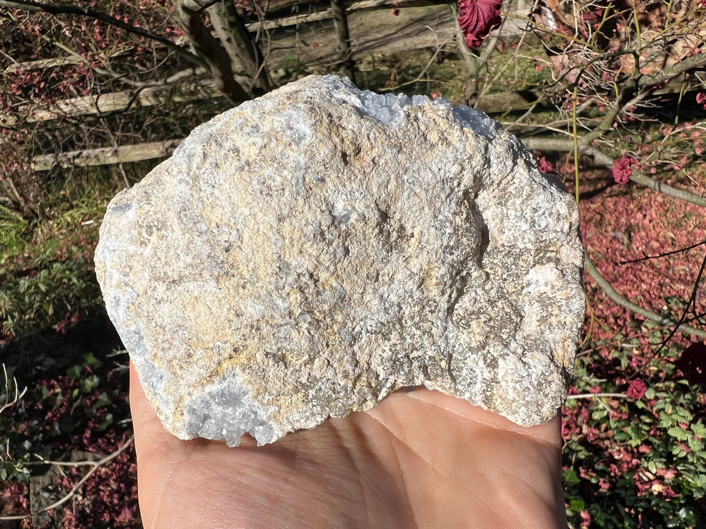 Celestite Cluster Specimen ~ Madagascar
