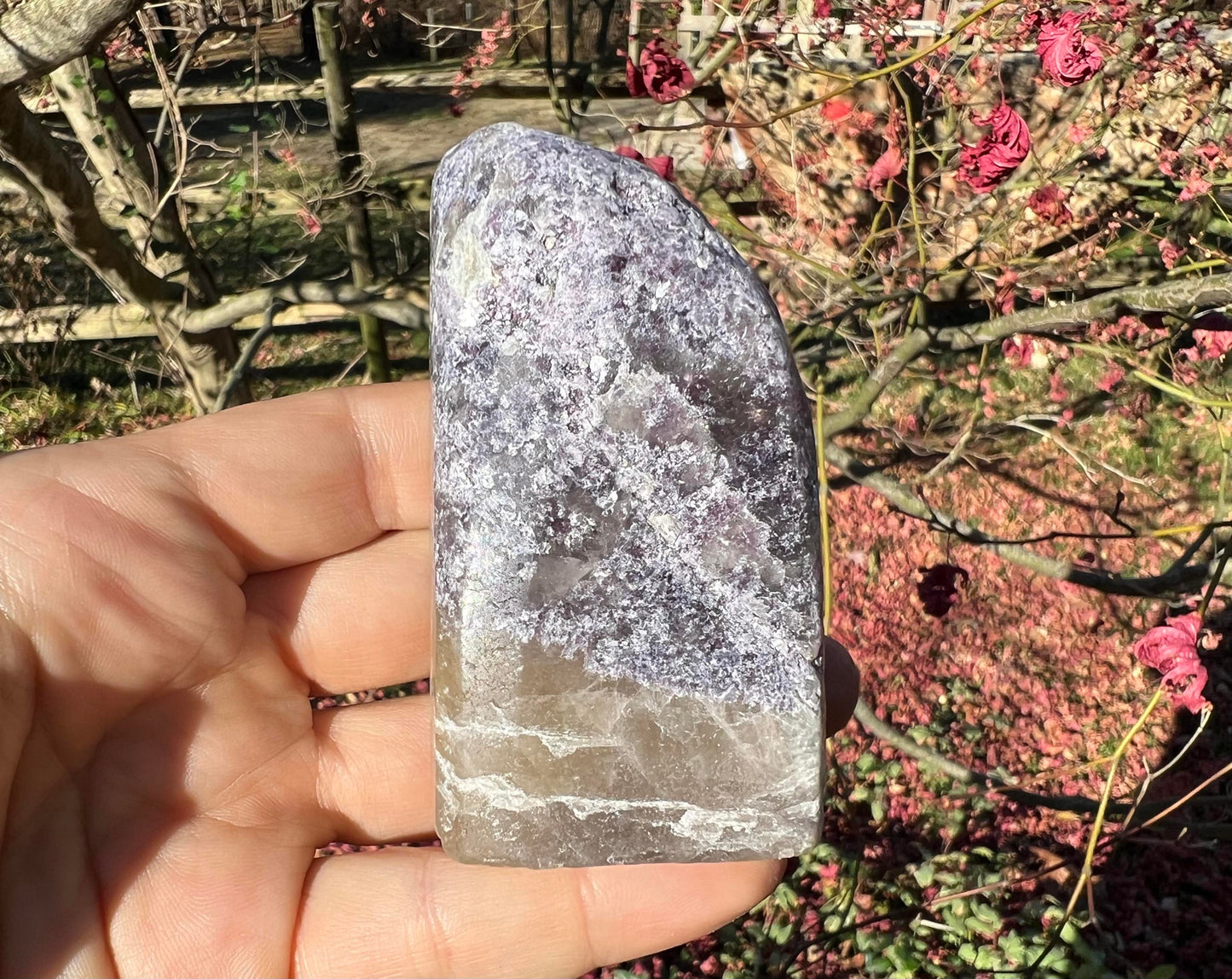 Lepidolite Freeform