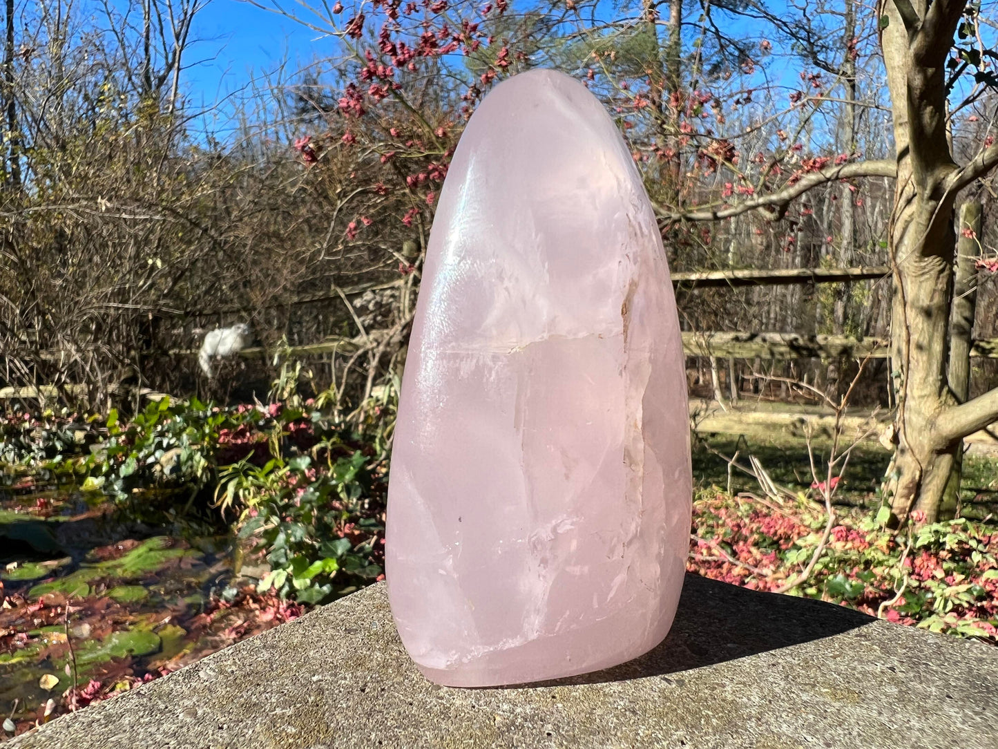 Rose Quartz Freeform