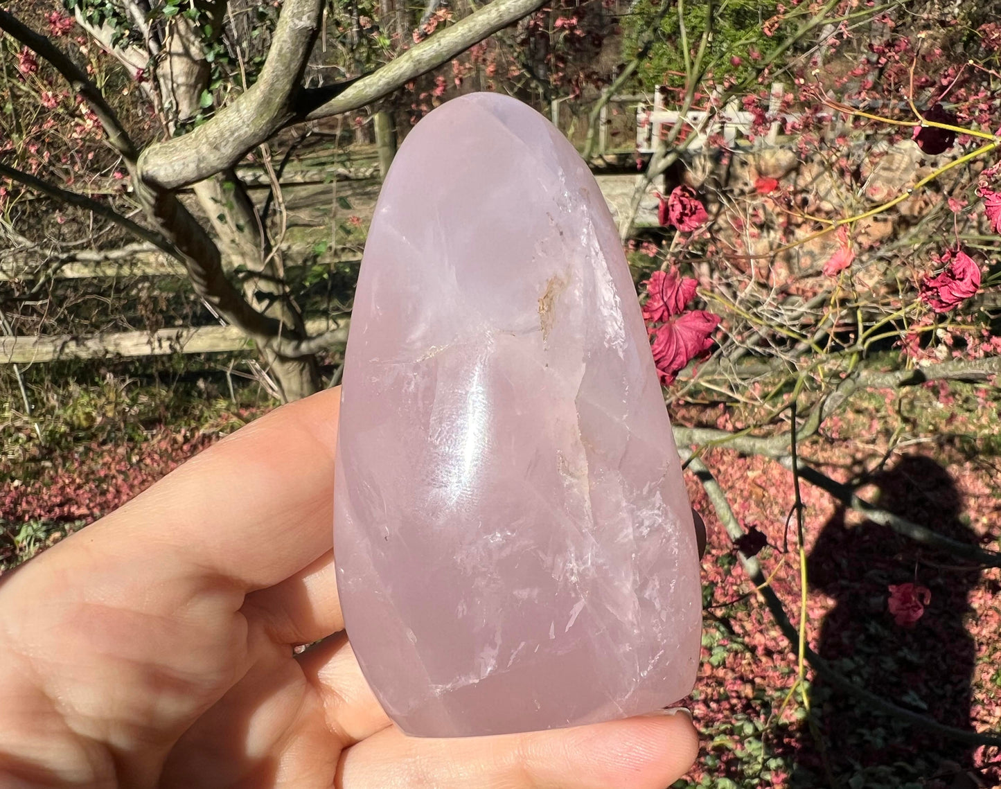 Rose Quartz Freeform