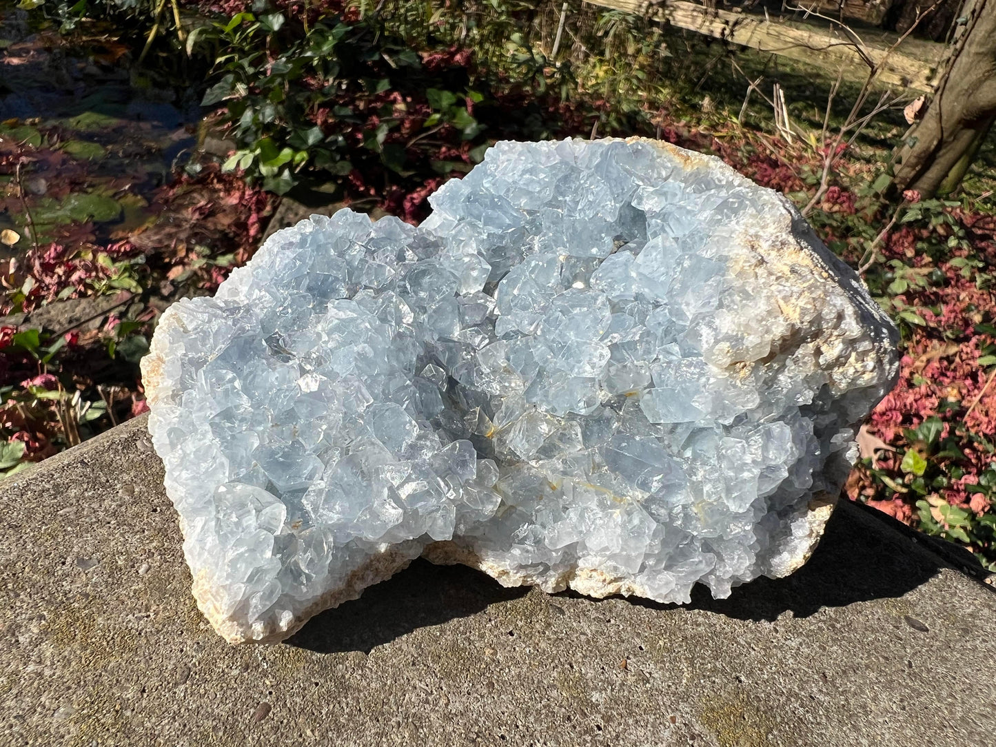 Celestite Cluster Specimen ~ Madagascar