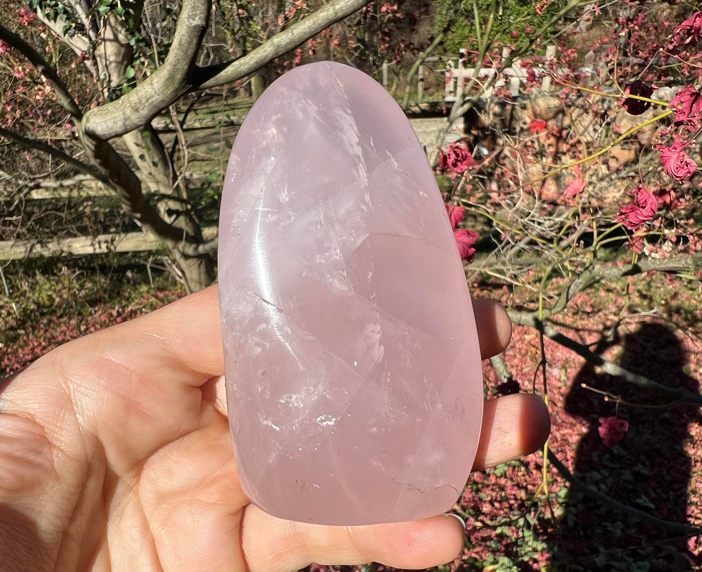 Rose Quartz Freeform