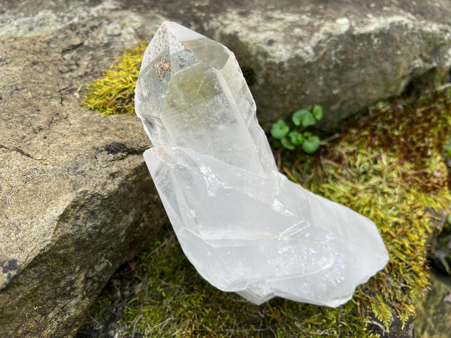 Quartz Crystal Specimen ~ Large