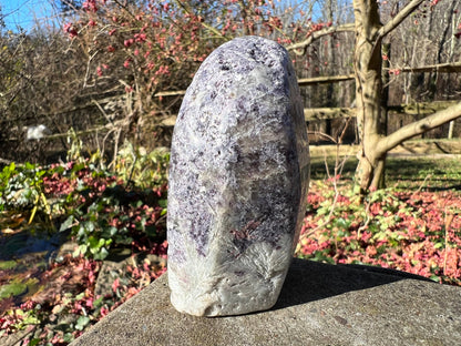 Lepidolite Freeform