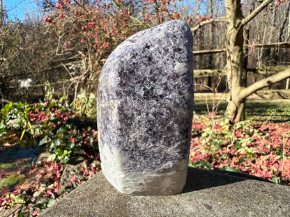 Lepidolite Freeform