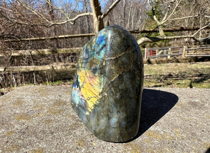 Labradorite Freeform