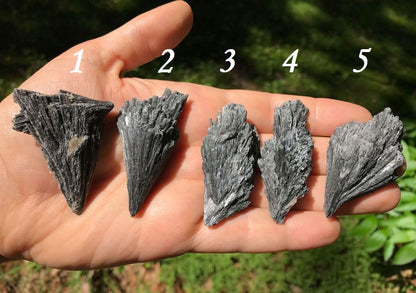 Black Kyanite Specimens - Gem Realm 