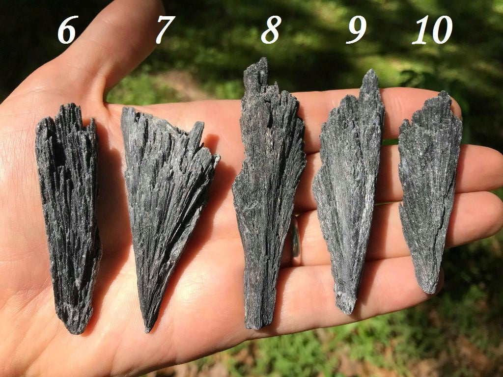 Black Kyanite Specimens - Gem Realm 