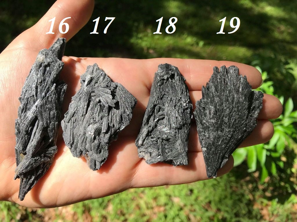 Black Kyanite Specimens - Gem Realm 