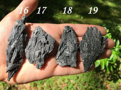 Black Kyanite Specimens - Gem Realm 