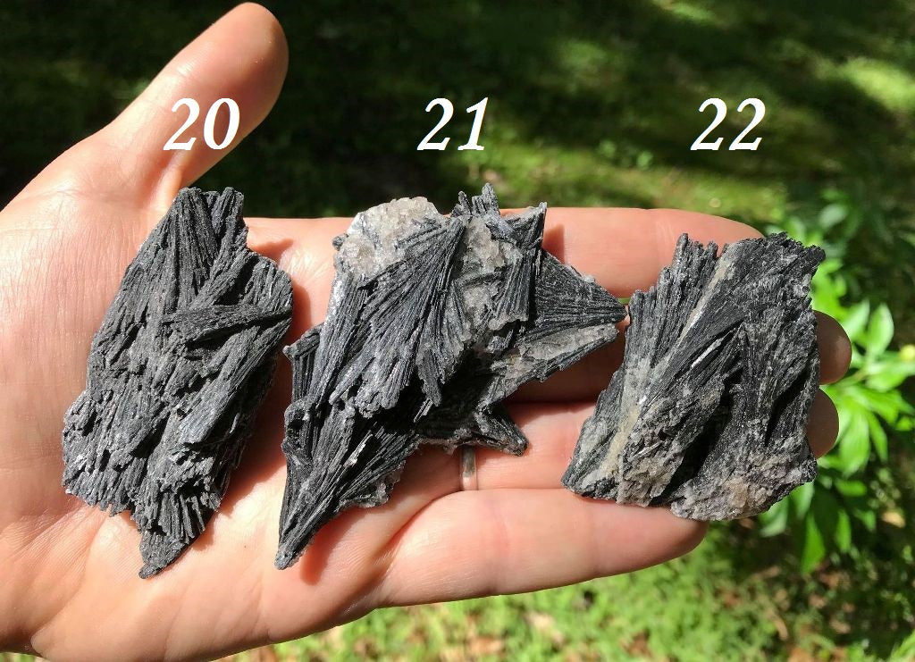 Black Kyanite Specimens - Gem Realm 