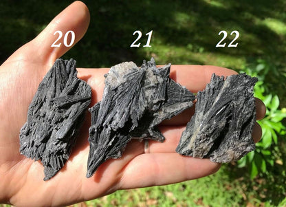 Black Kyanite Specimens - Gem Realm 