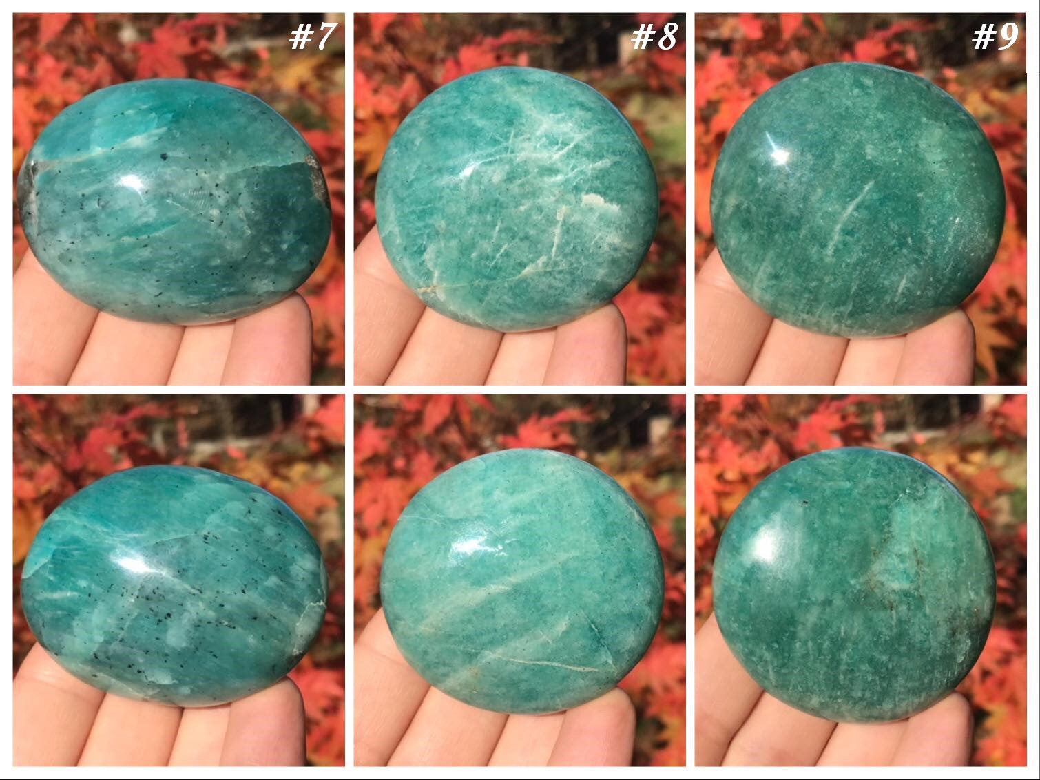 Amazonite Palm Stones - Gem Realm 