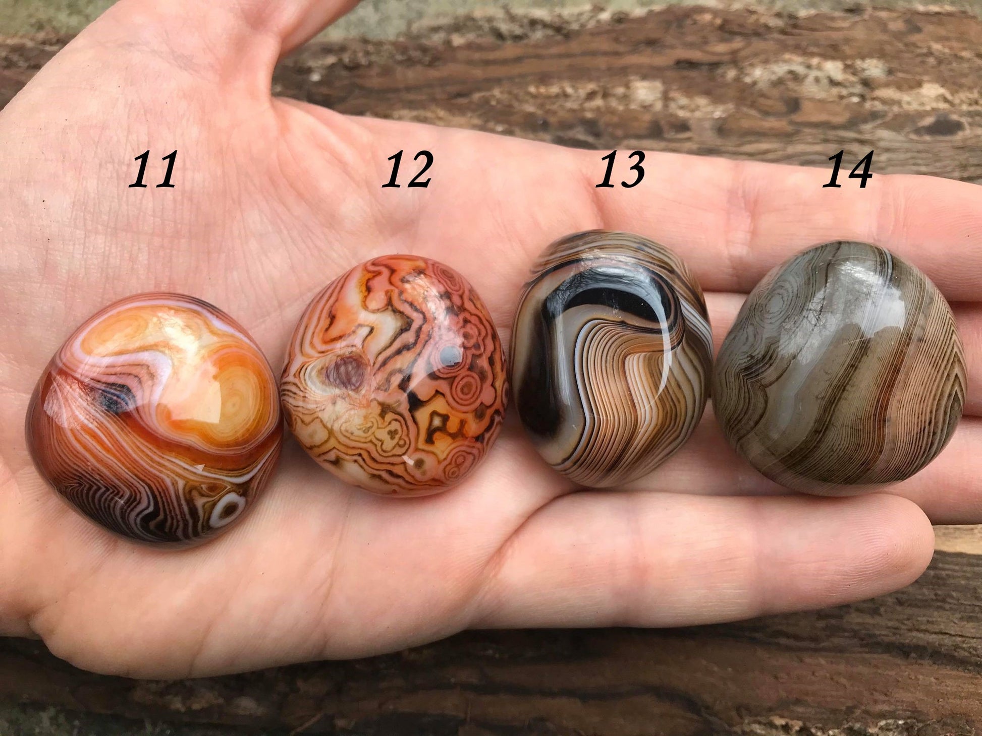Madagascar Banded Agate Palm Stones ~ Small - Gem Realm 