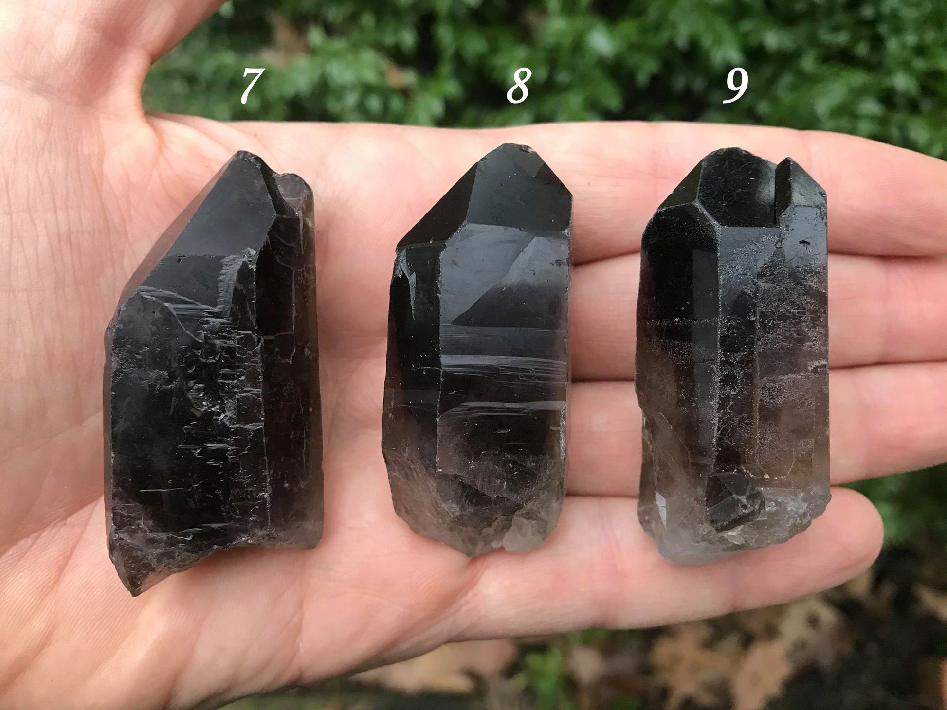Smoky Quartz Points - Gem Realm 