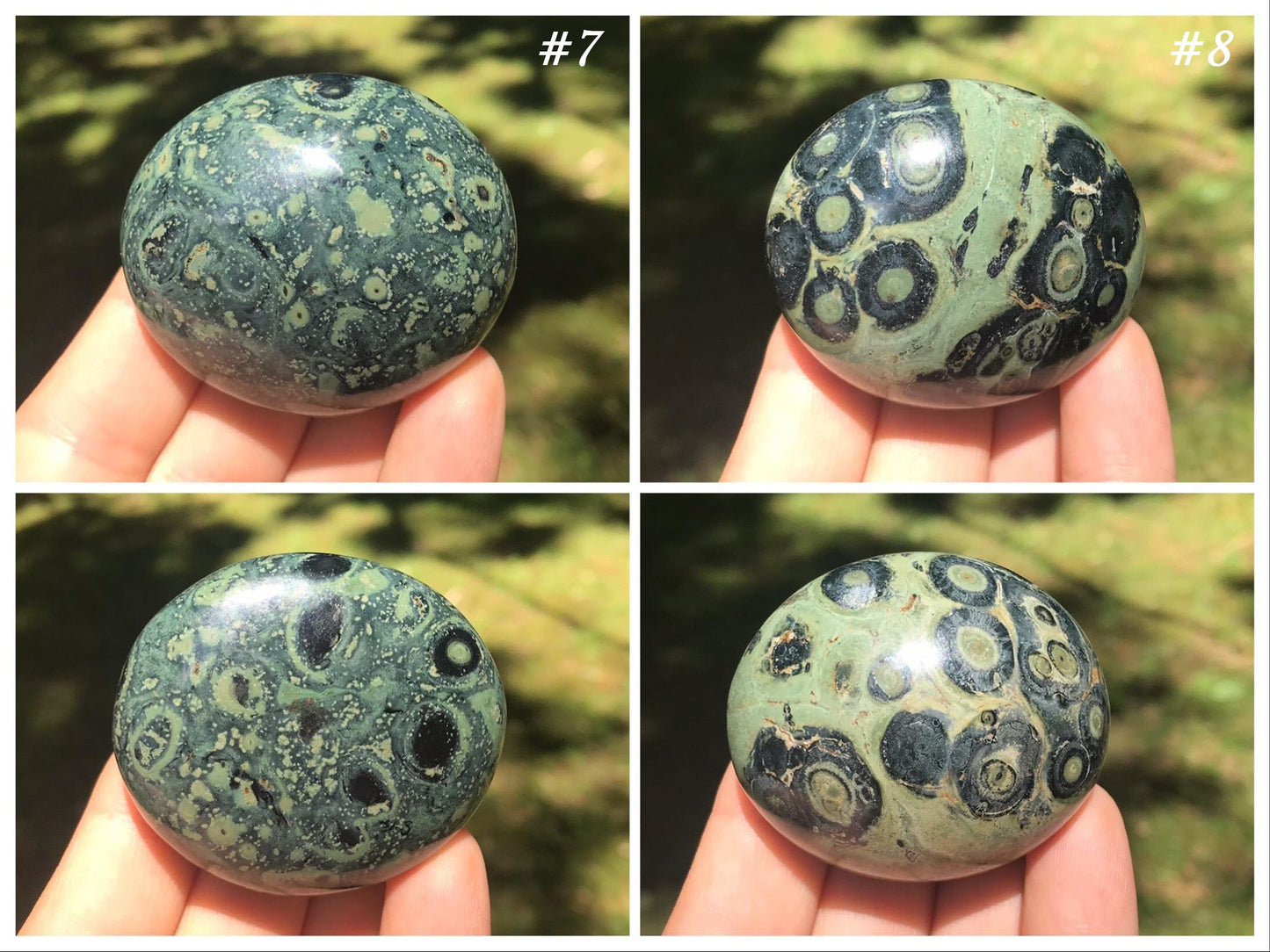 Kambaba Jasper Palm Stones - Gem Realm 