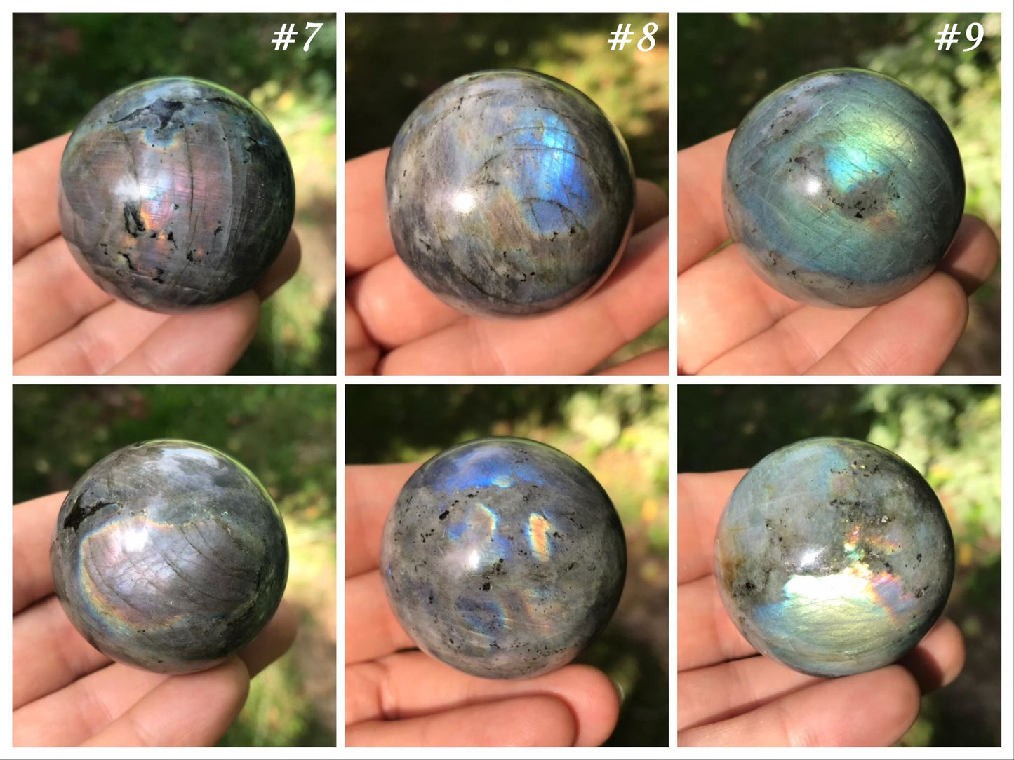 Labradorite Spheres - Gem Realm 