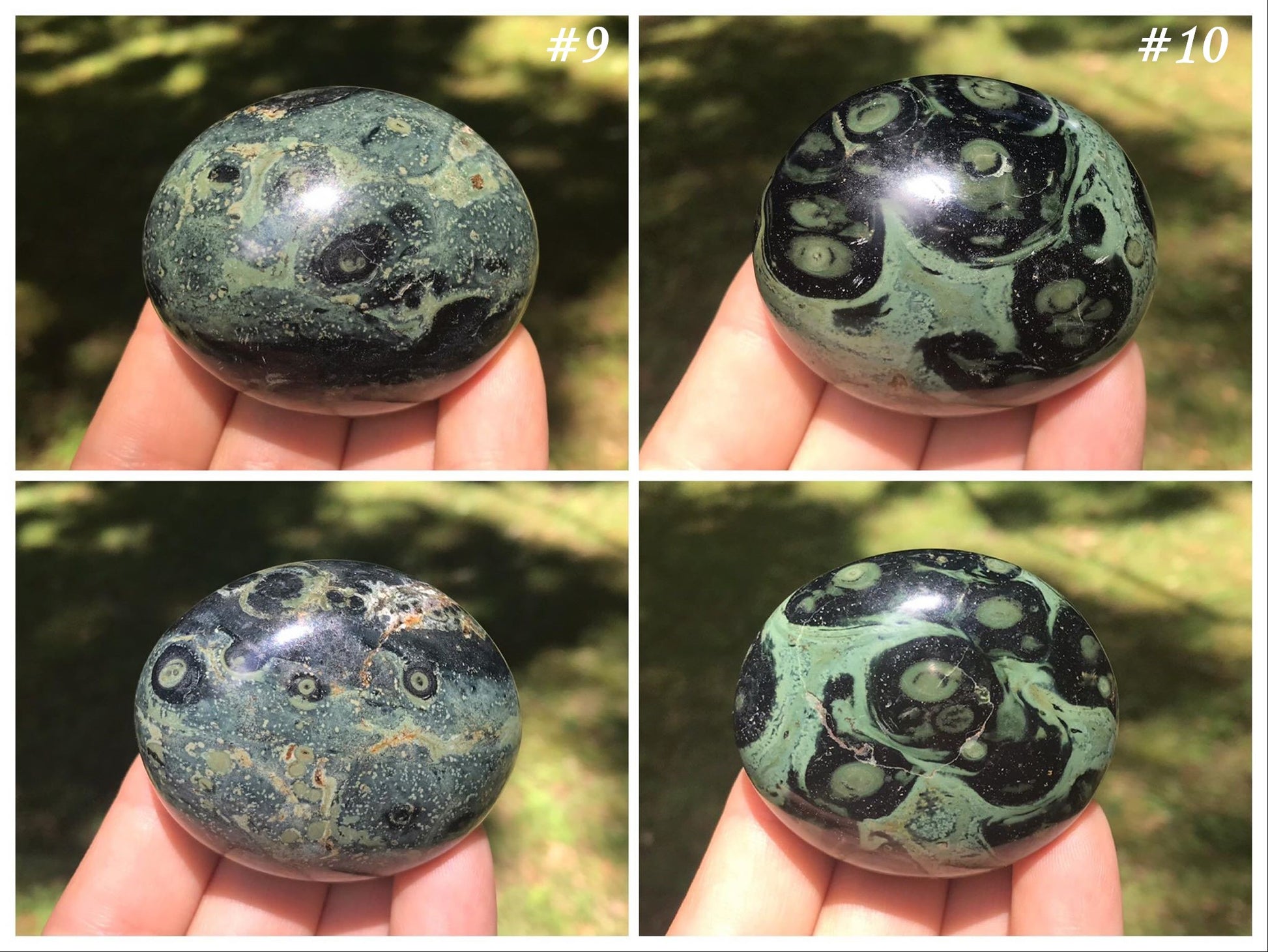 Kambaba Jasper Palm Stones - Gem Realm 