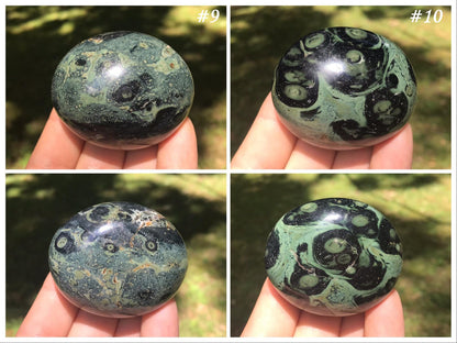 Kambaba Jasper Palm Stones - Gem Realm 