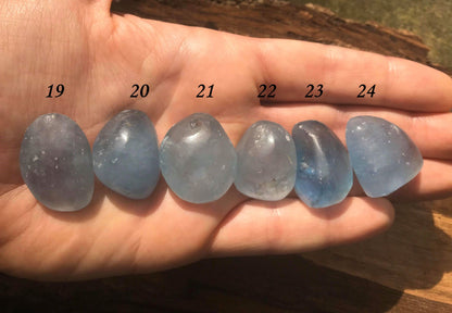 Celestite ~ Medium ~ Large - Gem Realm 