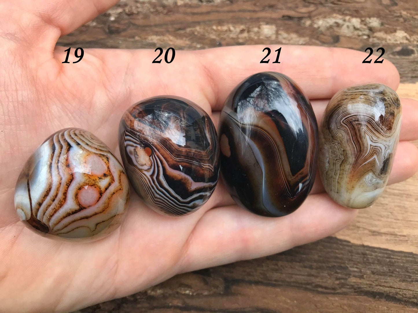 Madagascar Banded Agate Palm Stones ~ Small - Gem Realm 