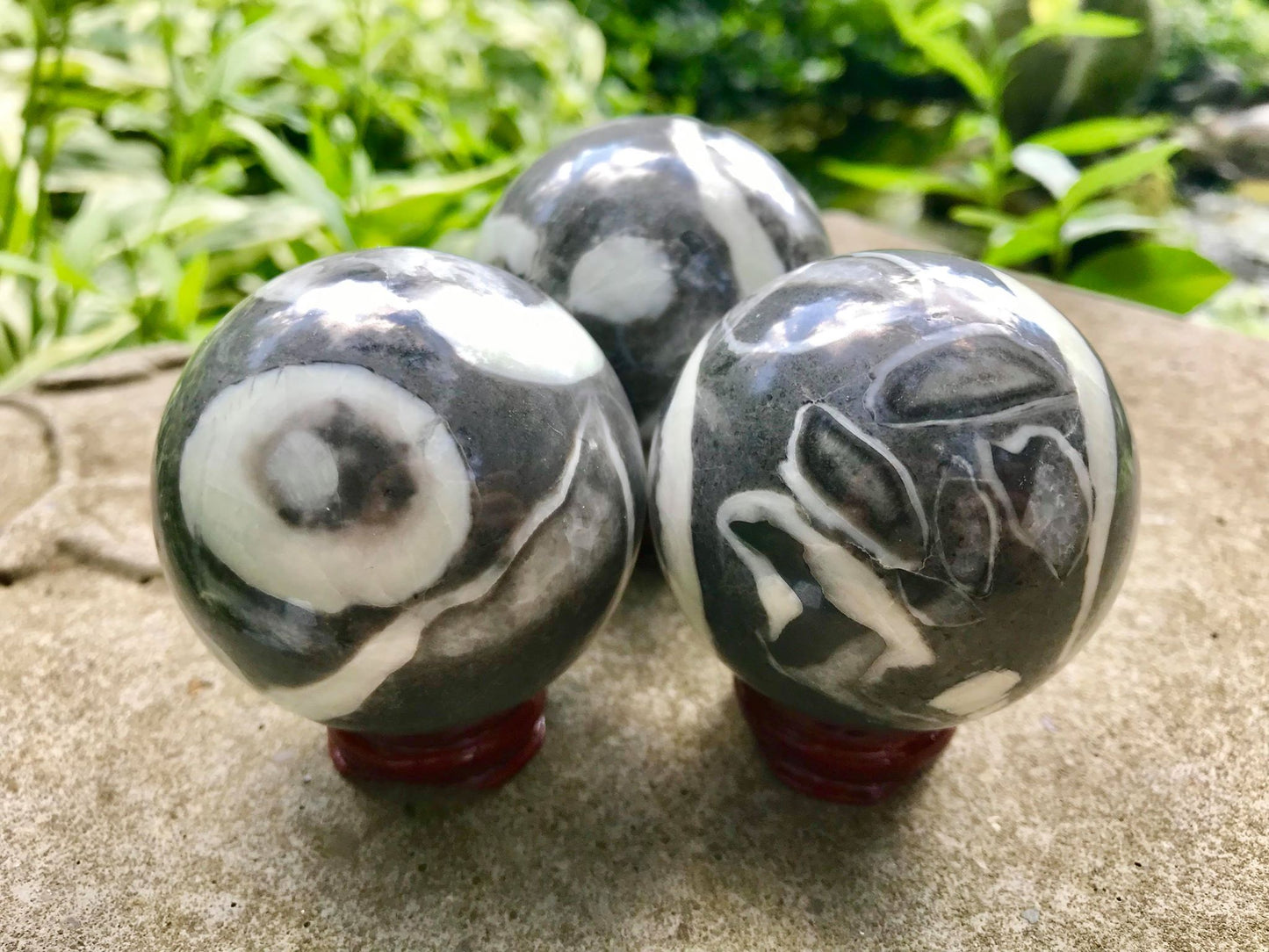 Shell Jasper Spheres - Gem Realm 