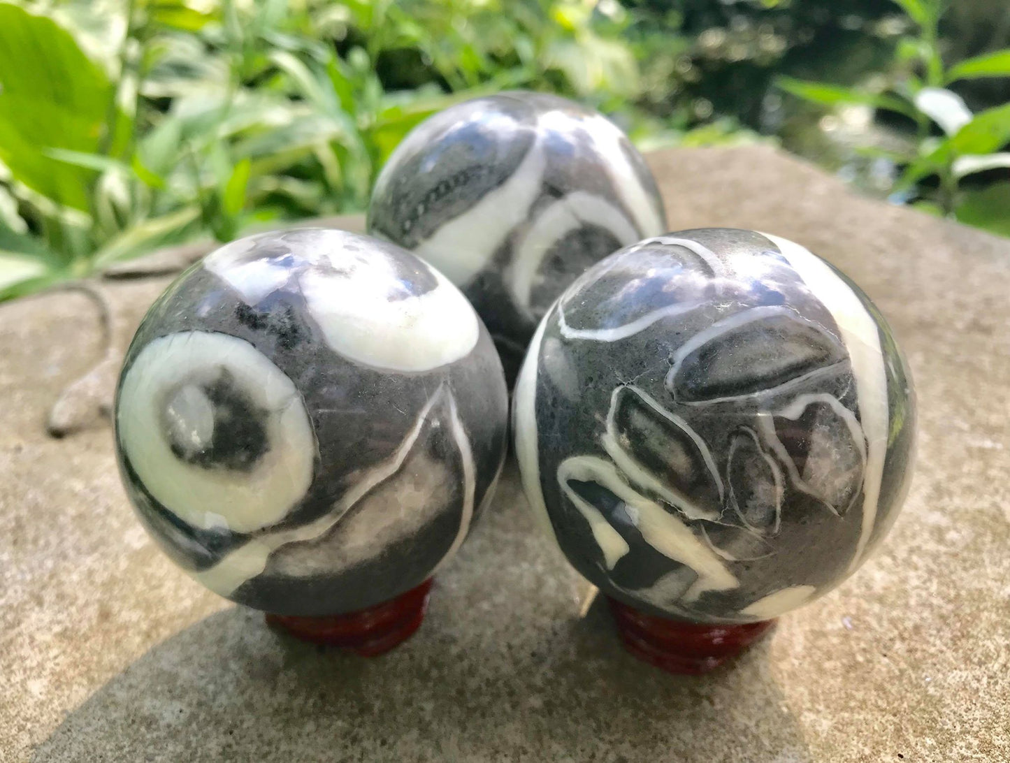 Shell Jasper Spheres - Gem Realm 