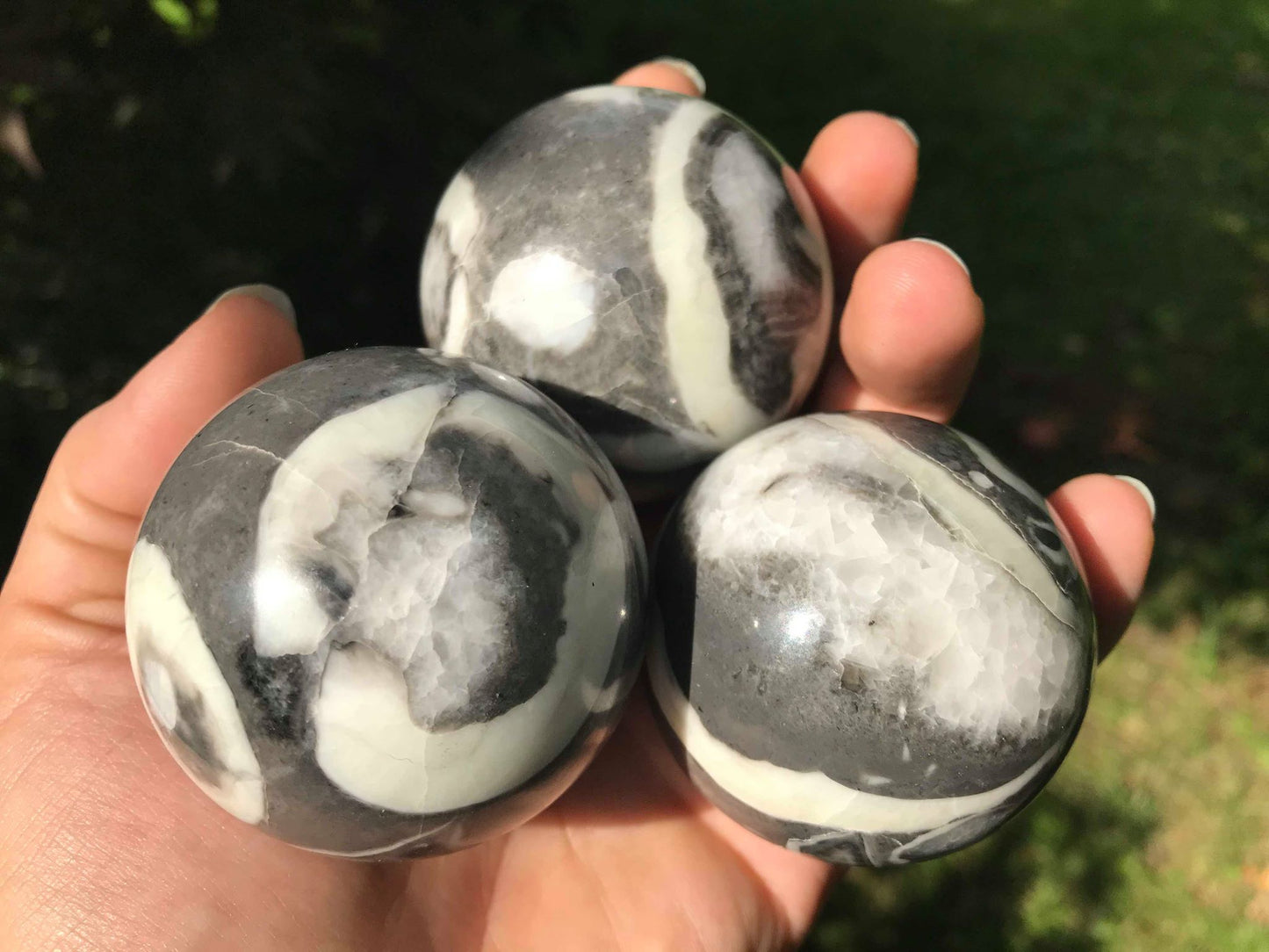 Shell Jasper Spheres - Gem Realm 