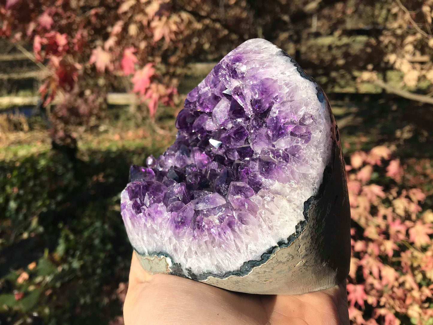 Amethyst Geode ~ AAA Grade - Gem Realm 