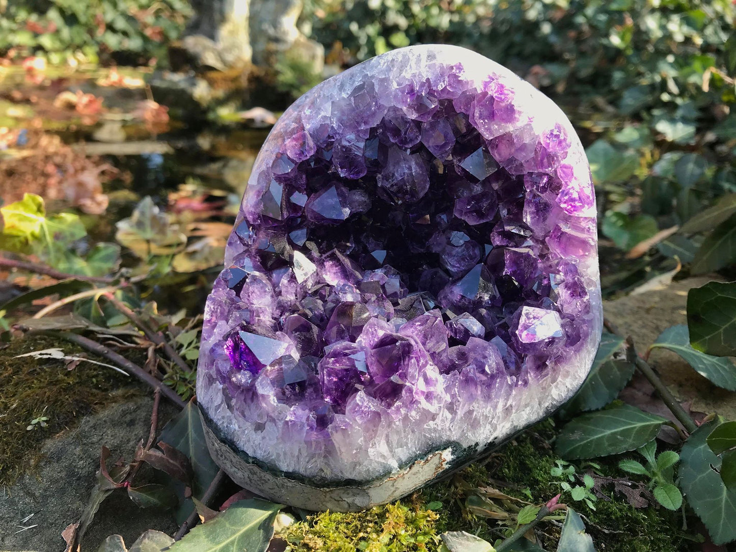 Amethyst Geode ~ AAA Grade - Gem Realm 