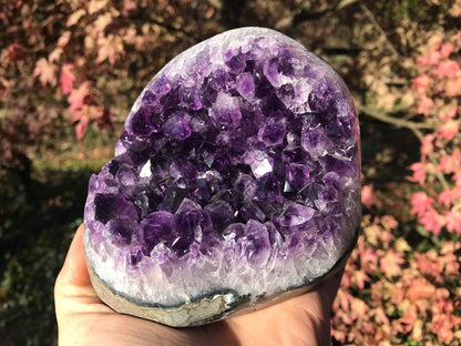 Amethyst Geode ~ AAA Grade - Gem Realm 