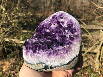 Amethyst Geode ~ AAA Grade - Gem Realm 