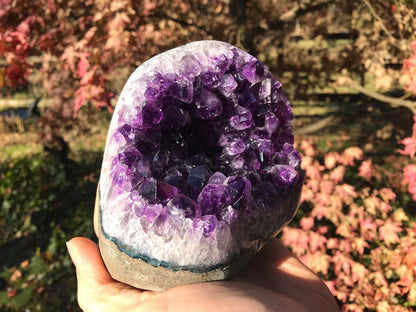 Amethyst Geode ~ AAA Grade - Gem Realm 