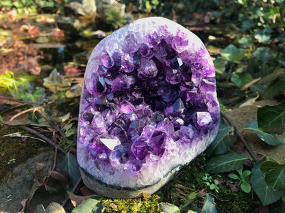 Amethyst Geode ~ AAA Grade - Gem Realm 