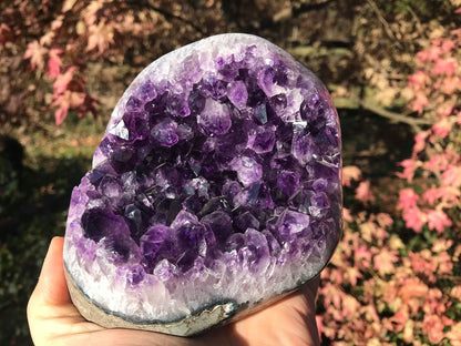 Amethyst Geode ~ AAA Grade - Gem Realm 