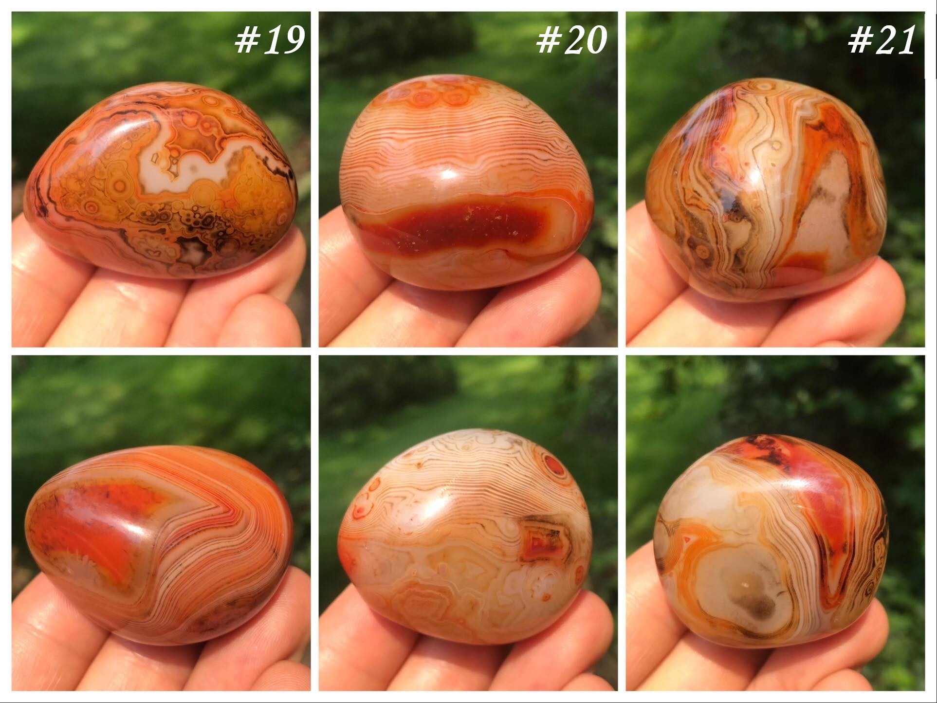 Madagascar Banded Agate Palm Stones - Gem Realm 