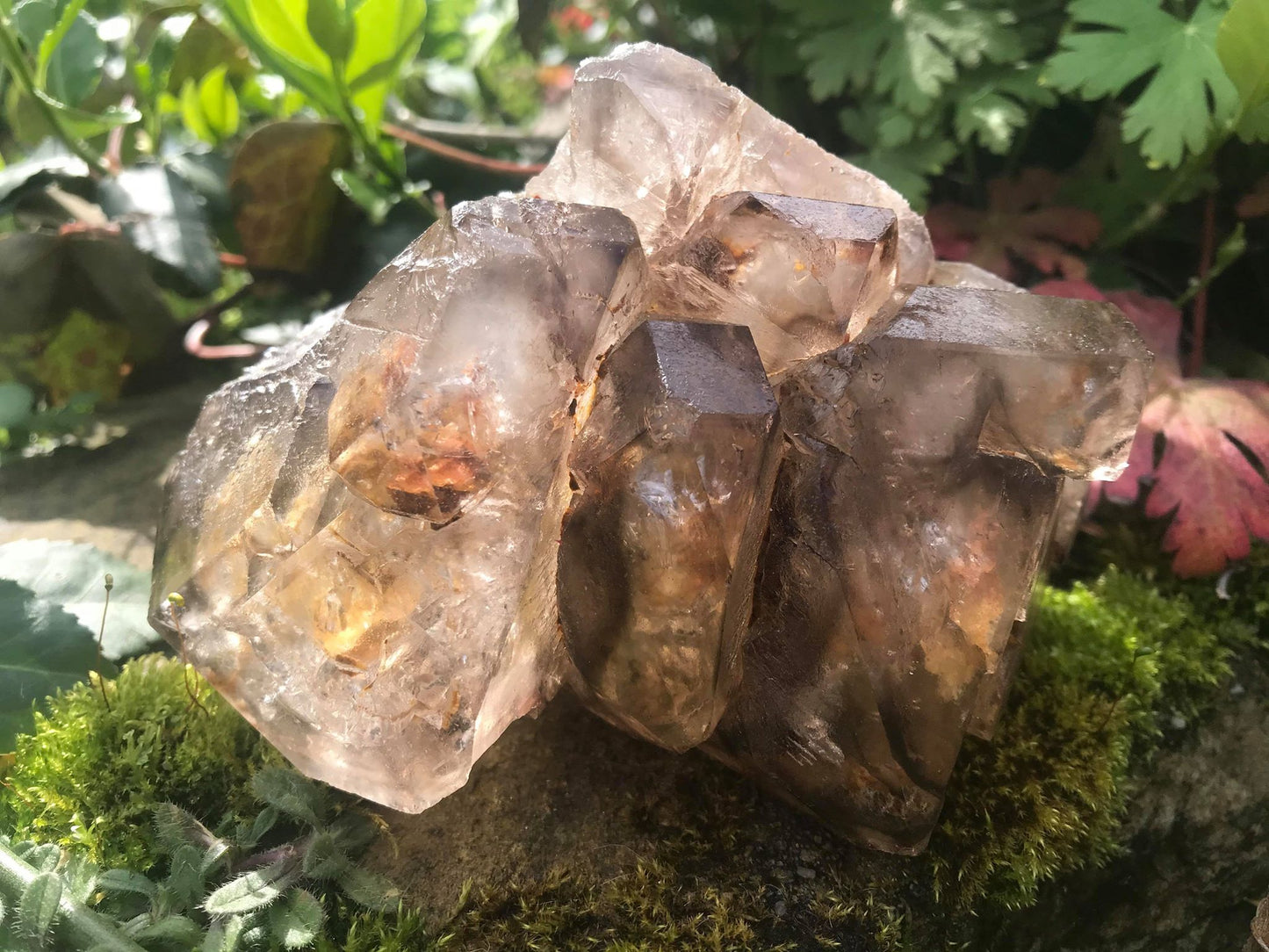 Smoky Elestial Quartz Cluster Specimen ~ Large - Gem Realm 
