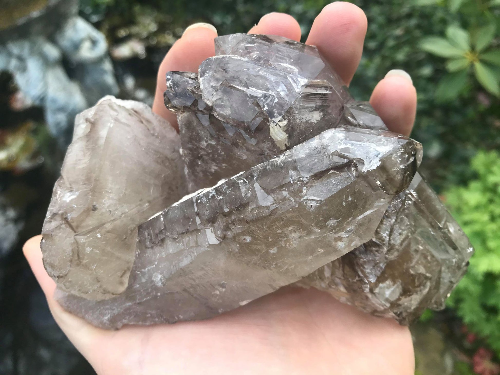 Smoky Elestial Quartz Specimen ~ Large - Gem Realm 