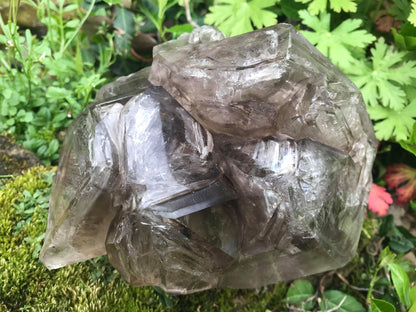 Elestial Smoky Quartz ~ Extra Large - Gem Realm 