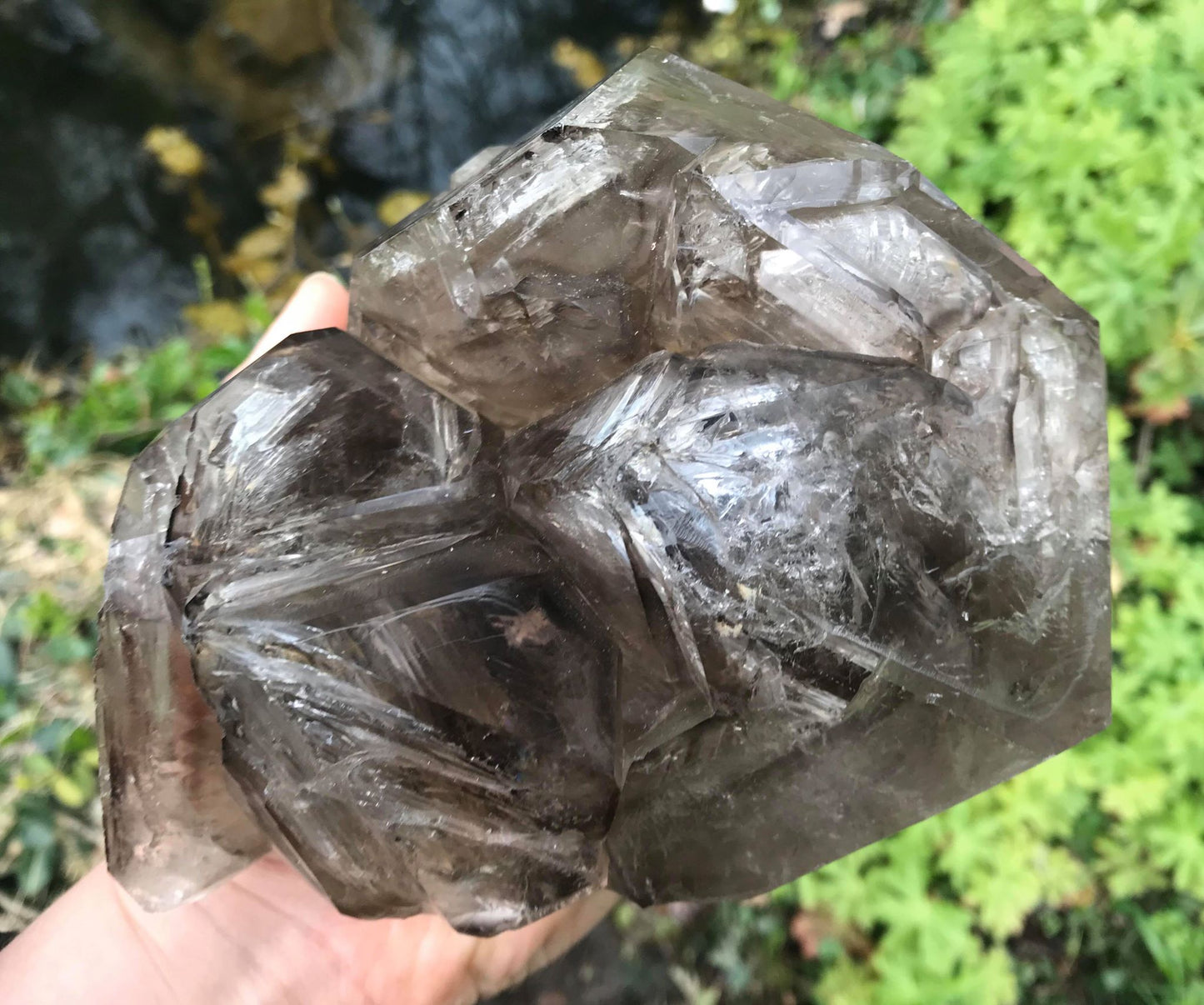 Elestial Smoky Quartz ~ Extra Large - Gem Realm 
