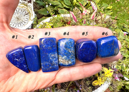Lapis Lazuli Tumbled Stones ~ Large