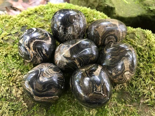 Stromatolite - Gem Realm 