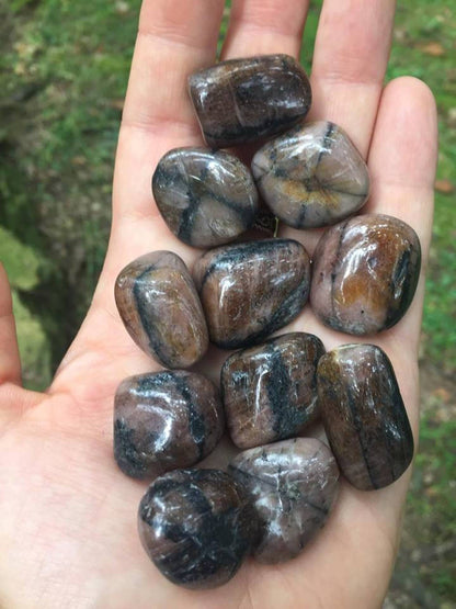 Chiastolite - Gem Realm 